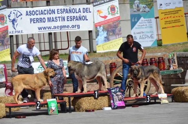 Los Piscardos - Villablino, León, Spain 05.08.2017 (AEPME)
Keywords: 2017 piscardos