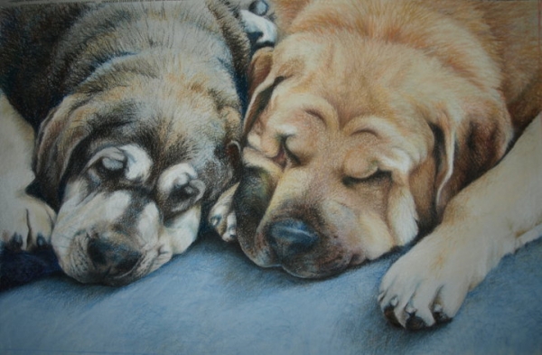 Pastel portrait of mastines Erbi de Anaise and Trueno de Bao La Madera - made by Anu Reimann, Estonia
Made by Anu Reimann, kennel Anuler, Estonia
Keywords: art anuler