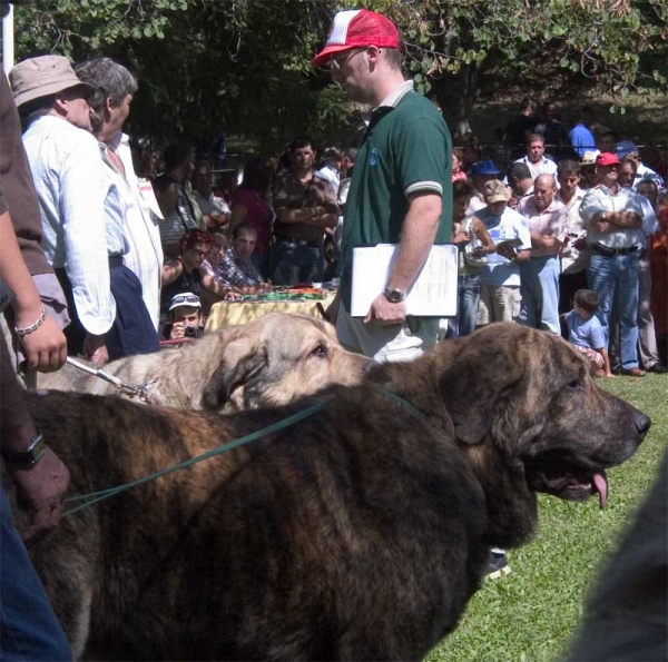 Open Class Males - Barrios de Luna 10.09.2006
الكلمات الإستدلالية(لتسهيل البحث): 2006