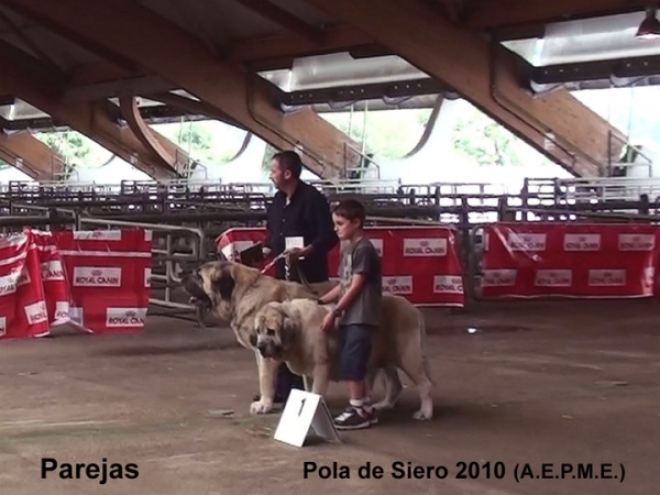 1. CH Ron & Haya de Bao La Madera - Pair Class, Pola de Siero, Asturias 17.07.2010
Keywords: 2010 baolamadera