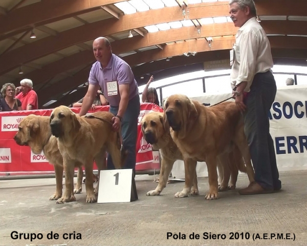 1. Tierra de Orbigo - Breeding Group, Pola de Siero, Asturias 17.07.2010
Keywords: 2010 tierraorbigo