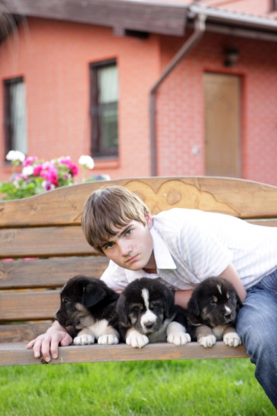 Puppies of Simba and Baggi (5 weeks old) born 07.05.2008
Jorgito Tornado Erben (Simba) x Motley House Bagira Papillion (Baggi)
07.05.2008 

Keywords: kids puppyrussia