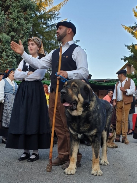 V Xamascada Valle de Laciana, León, Spain 2019
Keywords: 2019