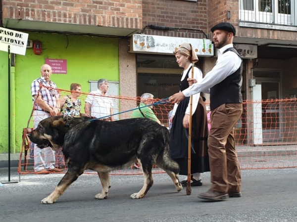 V Xamascada Valle de Laciana, León, Spain 2019
Keywords: 2019