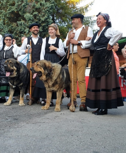 V Xamascada Valle de Laciana, León, Spain 2019
Keywords: 2019