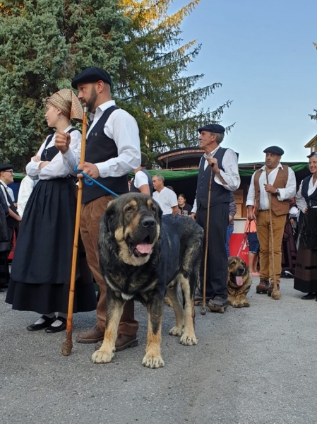 V Xamascada Valle de Laciana, León, Spain 2019
Keywords: 2019