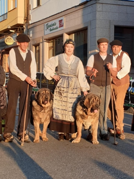 V Xamascada Valle de Laciana, León, Spain 2019
Keywords: 2019