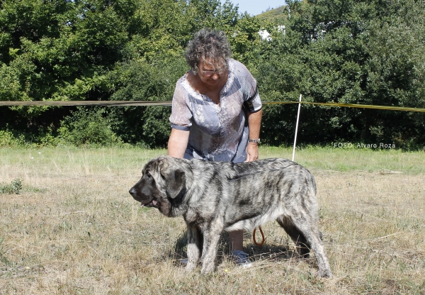 Muy Cachorros - Degaña, Asturias, Spain  31.08.2019 (ASAME)
Keywords: 2019