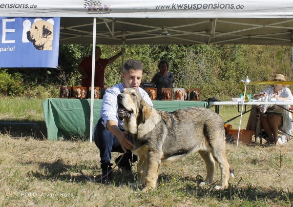 Muy Cachorros - Degaña, Asturias, Spain  31.08.2019 (ASAME)
Keywords: 2019