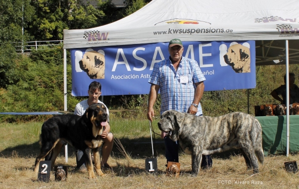 Jovenes  - Degaña, Asturias, Spain  31.08.2019 (ASAME)
Keywords: 2019