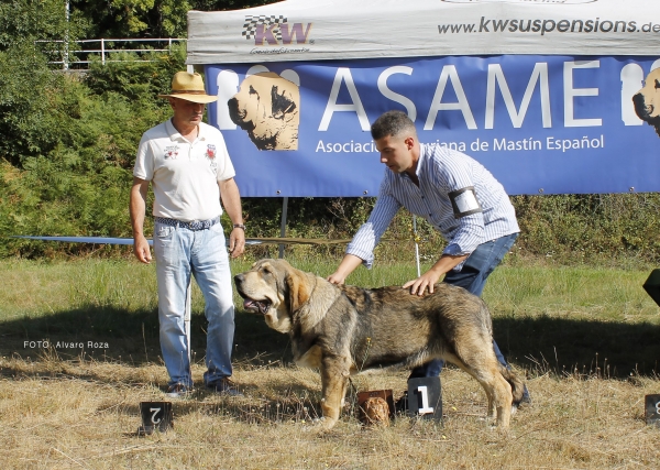 Muy Cachorros - Degaña, Asturias, Spain  31.08.2019 (ASAME)
Keywords: 2019