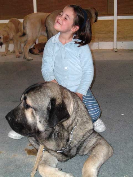 Ana & Kampo Dancá Cotufa
(Ch. Ulises de Ablanera x Chanca Dancá Cotufa) 
 

Keywords: kids cotufa