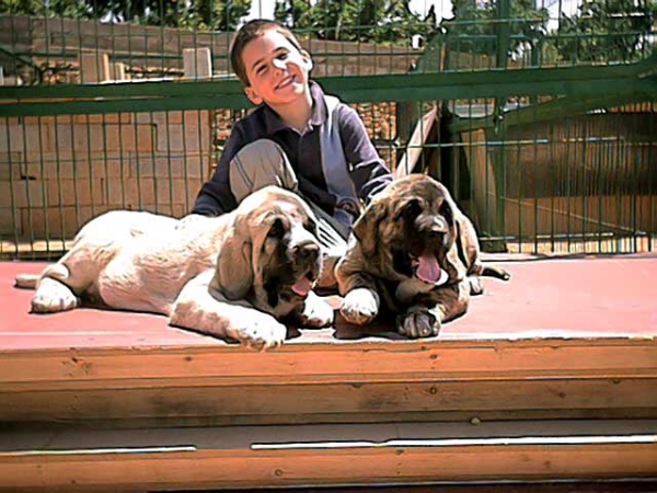 Angel with Zorro & Zarza de Jusiante
(Emir de Jusiante x Sisi de Jusiante)
 

Keywords: jusiante kids puppy cachorro