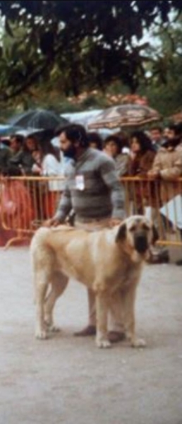 Ankara, 1984 - Propiedad de Eugenio Peña 
Fotografía de Pepe Peluca
Keywords: 1984