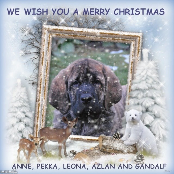 Merry Christmas and Happy New Year 2012 from Anna & Pekka Hiekkala-Häkkinen, Finland
Anahtar kelimeler: HÃ¤kkinen