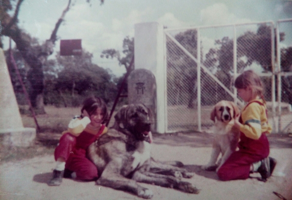 Año 1983 mis hijas con Toro y Samba
Keywords: 1983