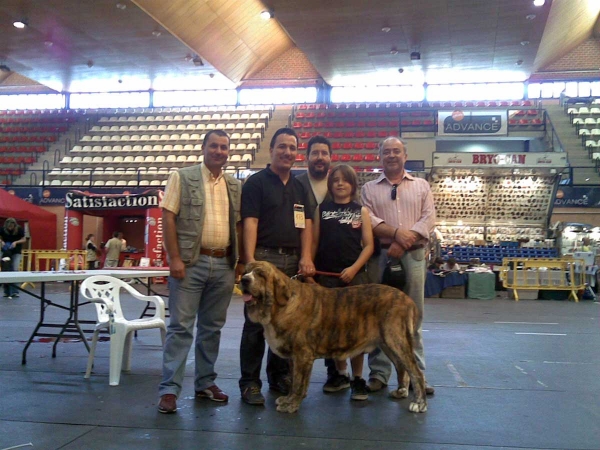 Armani del Agostadero - CAC CACIC Mejor de Raza (BOB) - International Dog Show, Castellón, Spain, 15.06.2008
(Jorgete de Trashumancia X Rubi de Trashumancia)

At the photo with Armani:
Juan Silla, Francisco Benito, Baltasar Redondo, Pepe Segarra junior and Pepe Segarra.

Keywords: 2008