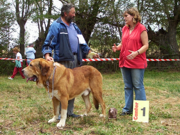 Pecho de la Vicheriza - Best in Show & judge Paloma Iglesias - Fresno del Camino, León, 08-08-2004
Owner: Cándido Rodríguez Arias
 

Keywords: 2004 vicheriza