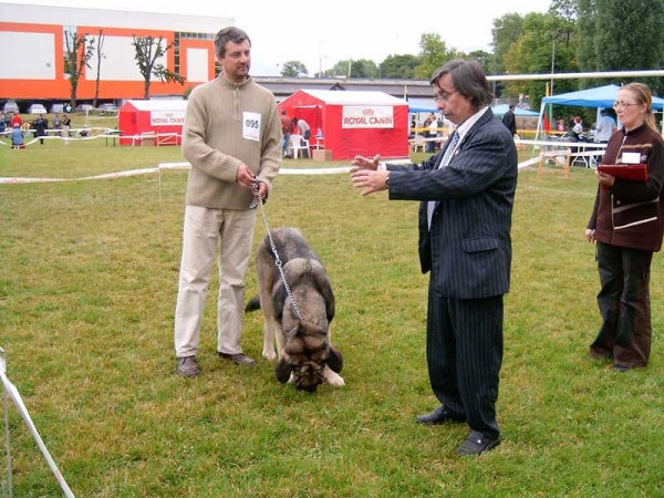 Bancia Dobra Rasa - Exc. 1, CAC, CACIB, BOB - Kaliningrad, Russia  11-12.06.2005
International Dog Show CACIB FCI "Kubok Sambii" in Kaliningrad - Russia 11-12.06.2005
(Basil Mastifland x Carina z Karolewka)
 

Keywords: 2004 herbu