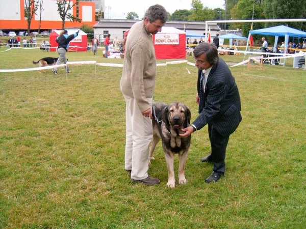 BANCIA Dobra Rasa - Exc. 1, CAC, CACIB, BOB - Kaliningrad, Russia - 11-12.06.2005
International Dog Show CACIB FCI "Kubok Sambii" in Kaliningrad - Russia 
11-12.06.2005 
(Basil Mastifland x Carina z Karolewka)
 

Keywords: 2005 herbu