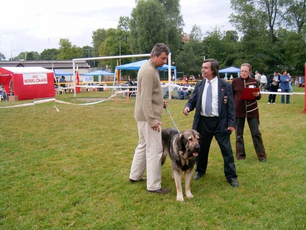 BANCIA Dobra Rasa - Exc. 1, CAC, CACIB, BOB - Kaliningrad, Russia - 11-12.06.2005
International Dog Show CACIB FCI "Kubok Sambii" in Kaliningrad - Russia
11-12.06.2005

(Basil Mastifland x Carina z Karolewka)
 

Keywords: 2005 herbu