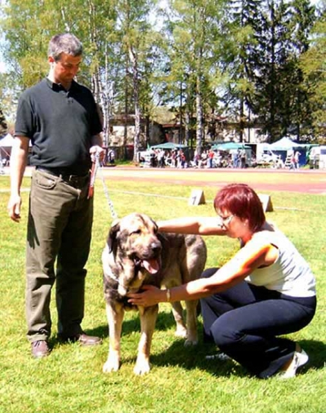 Bancia Dobra Rasa - CAC CACIB BOB - International FCI CACIB Dog Show Valmiera, Latvia - 22-05-2005
(Basil Mastifland x Carina z Karolewka) 

Keywords: 2005 herbu