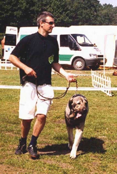 Bancia Dobra Rasa - Show Winner Trakai Cup 2004, Lithunia
International Dog Show - Trakai Cup 04, Lithuania 
Challenger for the Lithuanian Champion LT CAC 
Challenger for the International Champion CACIB, 
Show Winner
(Basil Mastifland x Carina z Karolewka)
 

Keywords: 2004 herbu