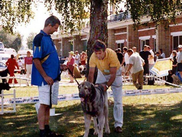 Bancia Dobra Rasa - Club Winner, BOB - Trakai, Lithuania 2004
Speciality Show for Molosser Dogs, Trakai, Lithuania 08-08-2004 
Challenger for the Lithuanian Champion LT CAC 
Club Winner 2004 Kl.N 04 
Best of Breed (BOB) 
(Basil Mastifland x Carina z Karolewka)
 

Keywords: 2004 herbu