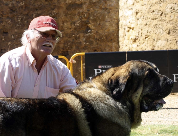 Barco de Montes del Pardo, BIS XXX Monográfica AEPME, Valencia de Don Juan 11.09.2010
Born 01.12.2005
(Pizarro de Montes del Pardo X Dama de Fontenar)
Breeder & owner: Sergio de Salas 
Keywords: 2010 pardo