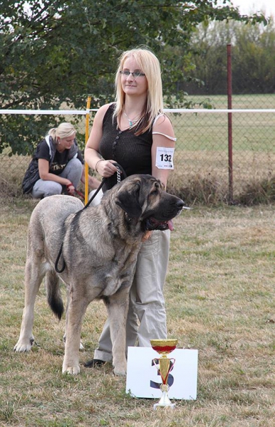 Bincie Bella Sabebe - Club dog show KMDPP, Rychety, Czech Republic - 04.10.2015
Keywords: 2015