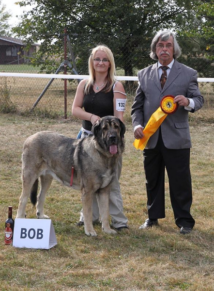 Bincie Bella Sabebe - Club dog show KMDPP, Rychety, Czech Republic - 04.10.2015
Keywords: 2015