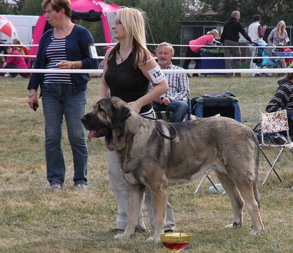 Bincie Bella Sabebe - Club dog show KMDPP, Rychety, Czech Republic - 04.10.2015
Keywords: 2015