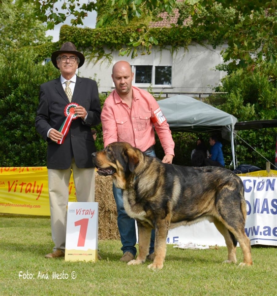 BEST IN SHOW: BRÍO DE FILANDÓN - Somo, Cantabria, Spain 2017 (AEPME)
Keywords: 2017 filandon