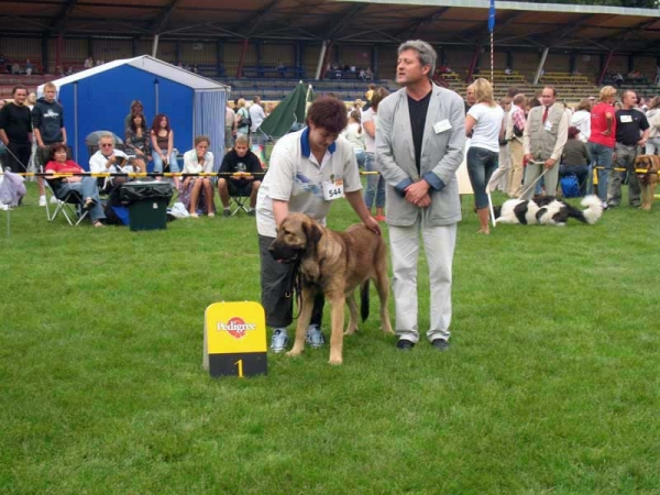 Coco Herbu Wielka Lapa: Exc. 1, Best Junior in Breed, BOB - International show Bialystok 26.08.2007
(Unique du Domaine du Runneval X Bancia Dobra Rasa) 
Born 26.08.2006 
Breeder: Andrzej Lapinski 
Owner Anu Reimann 
Keywords: 2007 herbu