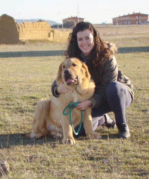 Marta con Tartuca de Fuente Mimbre
(Zumbo x Torquemada de Fuente Mimbre)
Keywords: puppyspain fuentemimbre