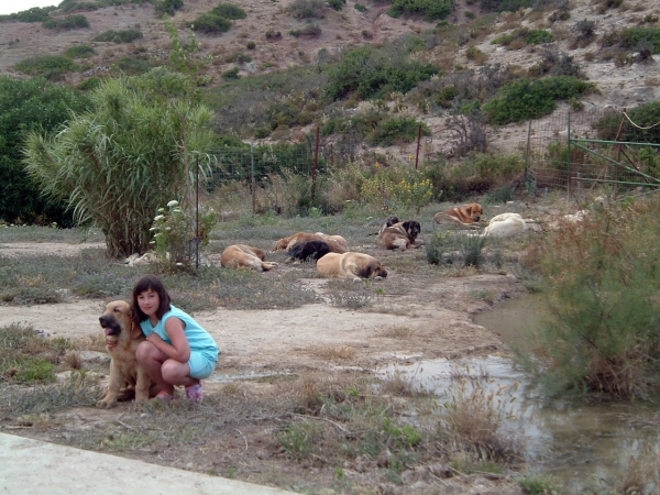 Ana with Mastines from Dancá Cotufa
Keywords: kids cotufa