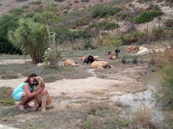 Ana with Mastines from Dancá Cotufa
Keywords: kids cotufa