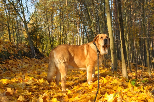 Autumn colors...
