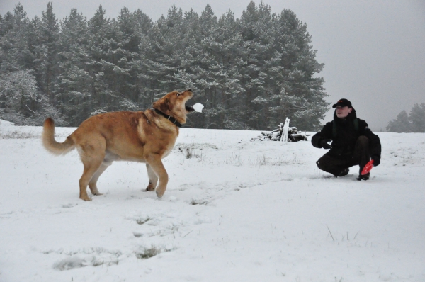 Enzo Lu Dareva 
 3. Winner Photo of January 2010 in Mastin Gallery
Keywords: izka snow nieve