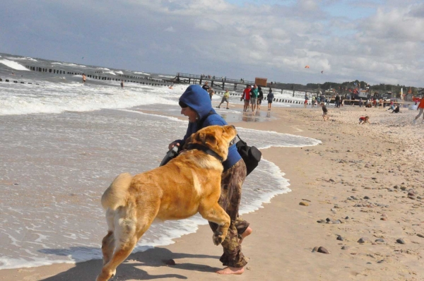 At the sea...
Keywords: kids