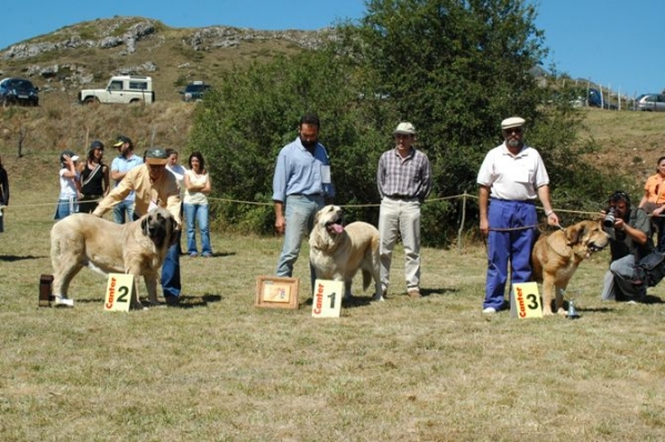 2. Cala de Autocan, 1. Laica de Reciecho & 3. Muralla de La Vicheriza - Open Class Females, San Emiliano 20.08.2006
Keywords: 2006