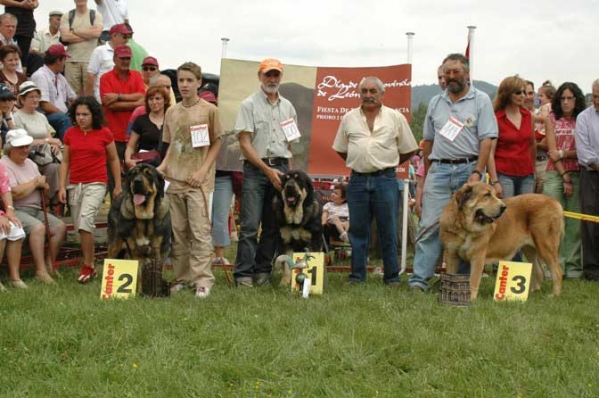 Open Class Females - Prioro, León, Spain, 02.07.2006 
2º- SALMA DE BABIA - Owner: Pedro Álvarez Barriada
1º- CONCHA DE BABIA - Owner: Pedro Álvarez Barriada
3º- MURALLA DE LA VICHERIZA - Owner: Cándido C. Rodríguez Arias

Keywords: 2006