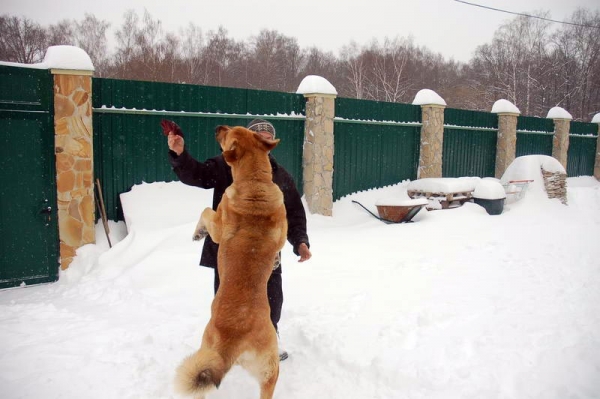 Spanish Grande Tornado Erben
Keywords: snow nieve spanish-grande