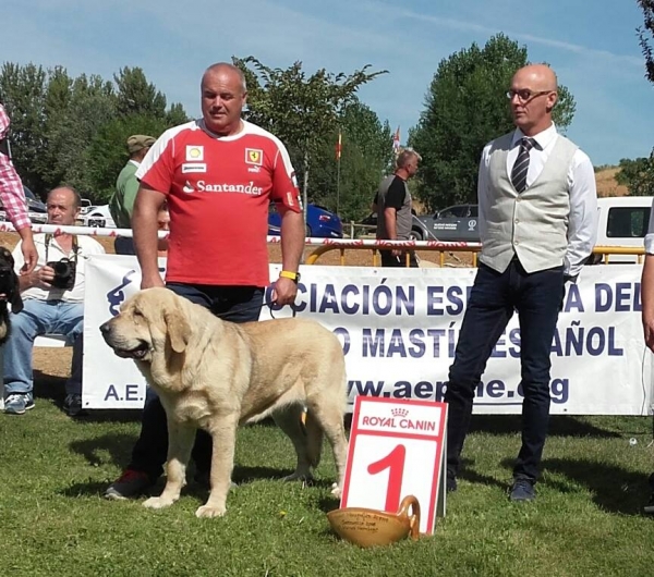 Daneris Valle del Pisueña - Gordoncillo 2016
Keywords: 2016 pisuena