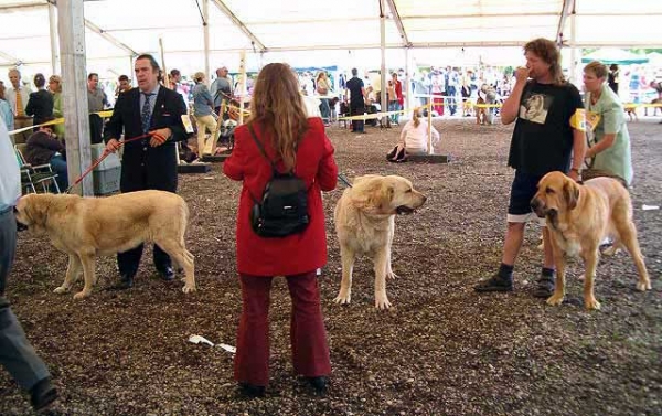 Champion Class Females - Eurodog Show 2005, Tulln, Austria
Keywords: 2005