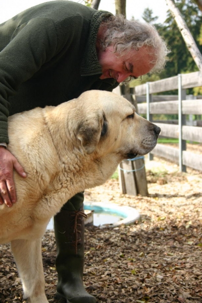 Soto de Trashumancia - 9 years old
(Florencio de Trashumancia x Vela de Trashumancia)

Keywords: marietta veteran veterano