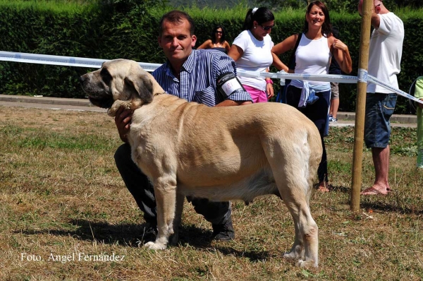 Encina de Bao la Madera: EXC - Open Class Females, Cervera de Pisuerga 13.08.2011
Keywords: 2011 baolamadera