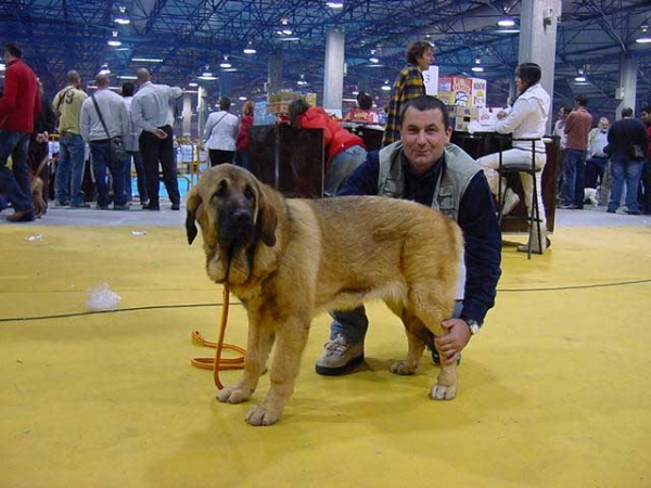 Fina de Jusiante - National & International Show, Valencia, Spain - 16-17.12.2006
MEJOR CACHORRO DEL AÑO 2006 COMUNIDAD VALENCIANA Y MURCIA
Keywords: 2006 jusiante