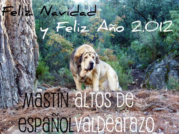 Feliz Navidad y Feliz Año 2012 from Altos de Valdearazo, Spain
