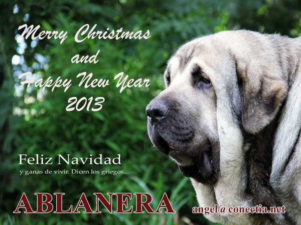 Merry Christmas and Happy New Year 2013 from 'Ablanera', Asturias, Spain
Keywords: ablanera